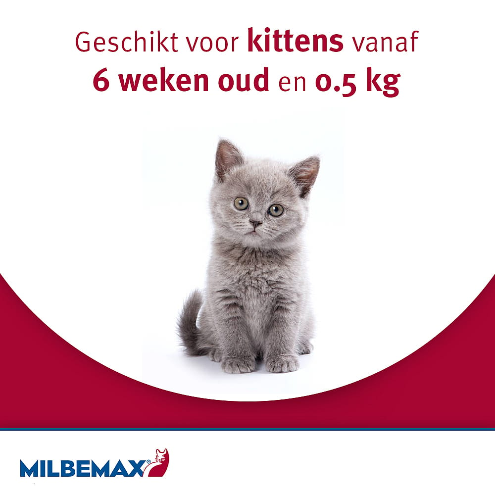 Milbemax Kleine Kat Ontwormingstabletten