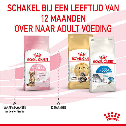 Royal Canin Kitten Sterilised