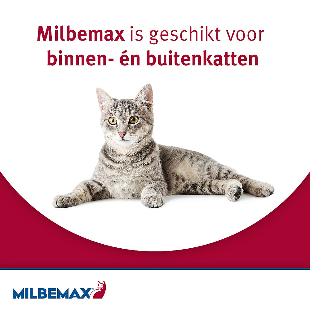 Milbemax Kleine Kat Ontwormingstabletten