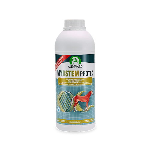 Audevard Myostem Protec Weerstand Paard