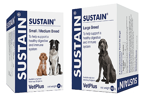 Vetplus Sustain Probiotica Hond