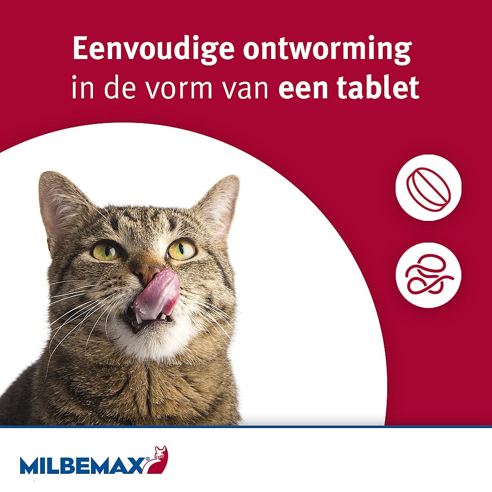 Milbemax Kleine Kat Ontwormingstabletten