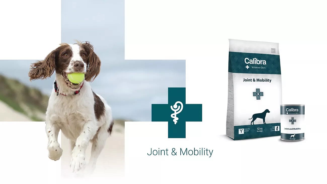 Calibra Dog Veterinary Diets Joint and Mobility