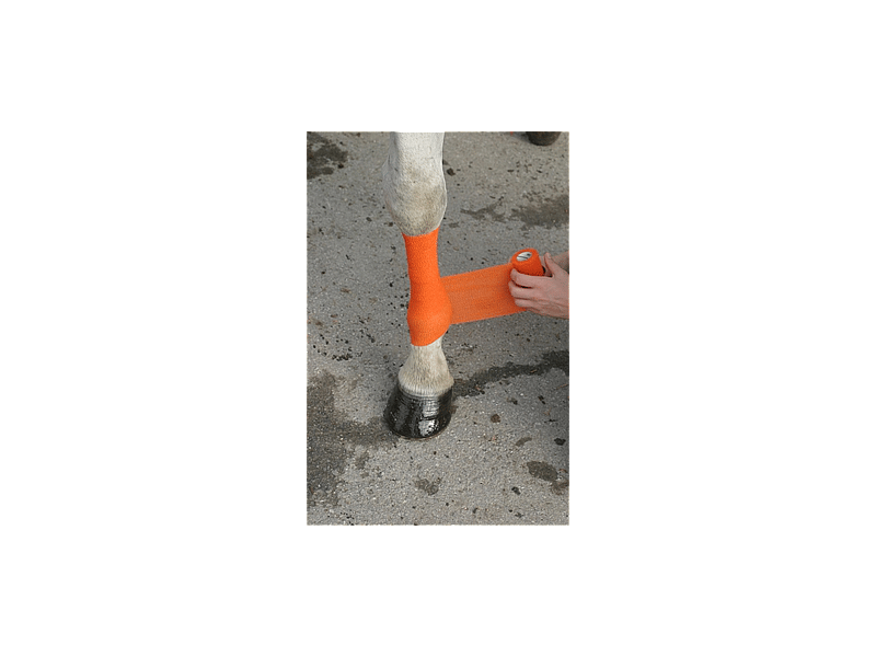 Bandage Powerflex Paard 1 stuk