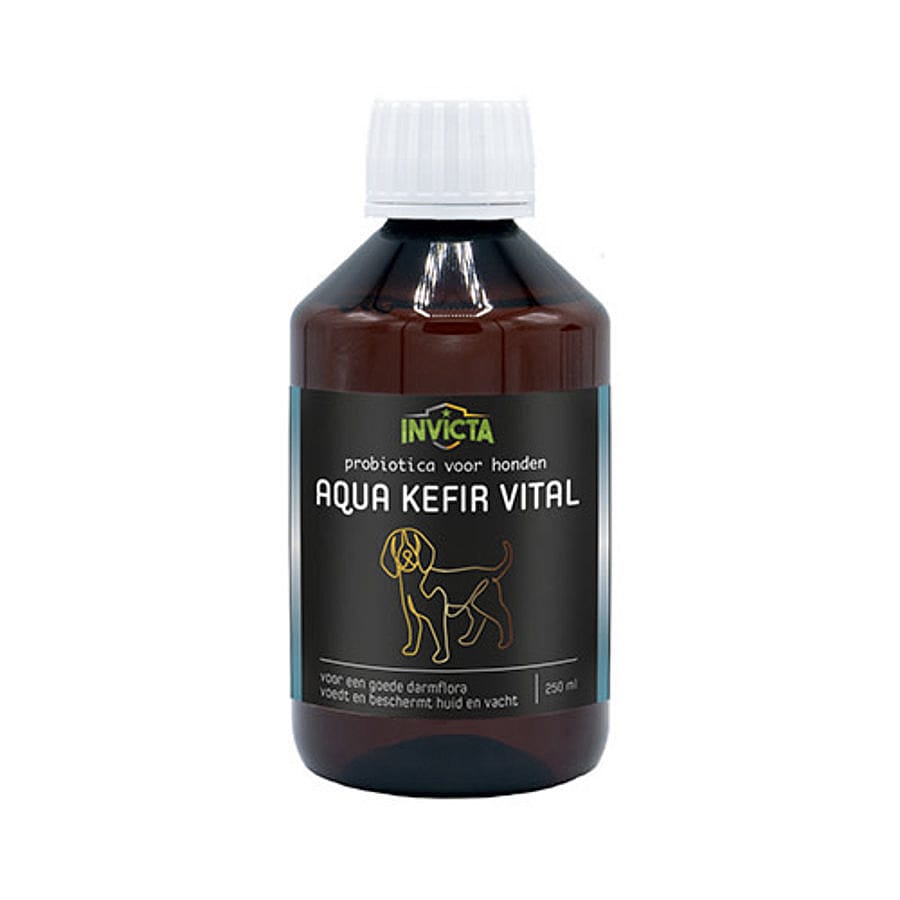 Aqua Kefir Vital Probioticum Invicta Hond 250 ml