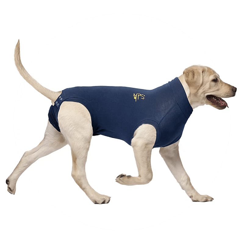 Medical Pet Shirt Hond