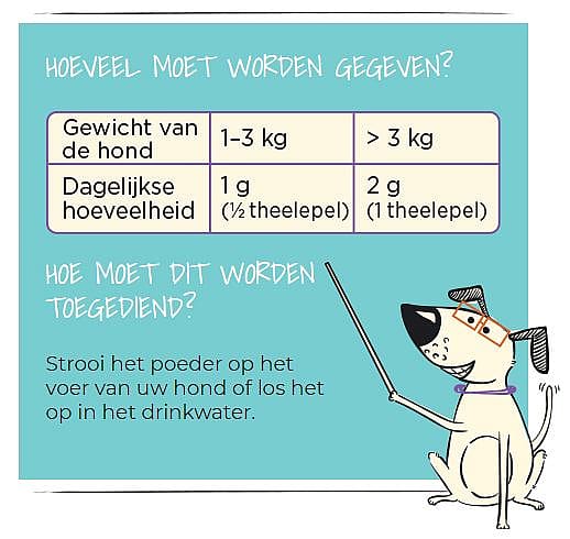 Procanicare Hond