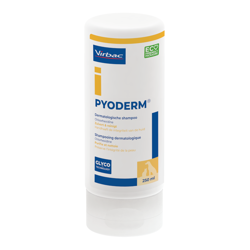 Pyoderm shampoo 250 ml