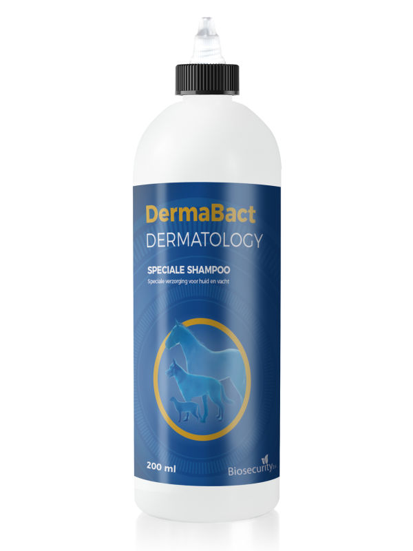 DermaBact Shampoo 200 ml