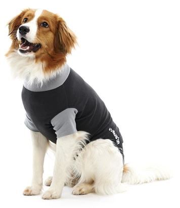 Buster Body Suit Hond